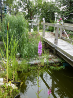 Unser Garten