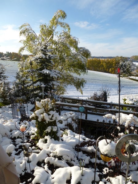 Garten im Winter